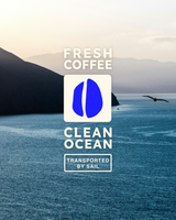 Asocanafi Colombia - Washed Anaerobic Geisha