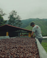 Pepe Jijón Finca Soledad Ecuador - Sydra SyOxy